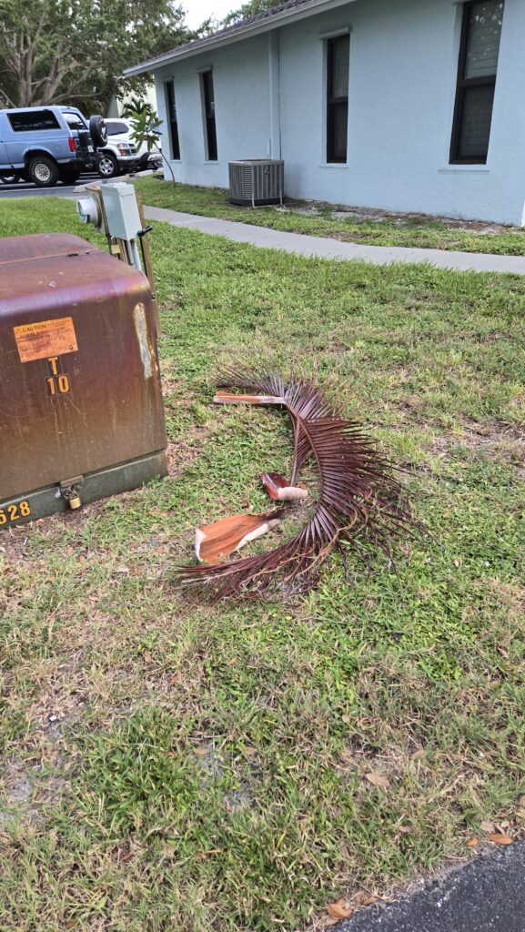 Pilling of yard waste and debris on grass areas